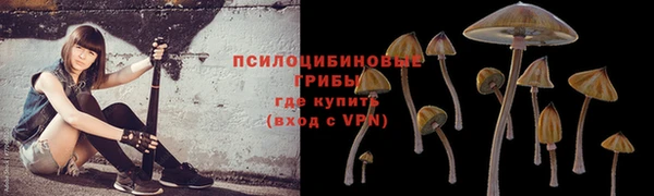 гидра Нязепетровск